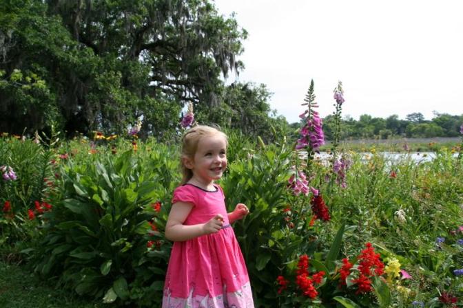 charlestons-eden-magnolia-plantation-and-gardens-1