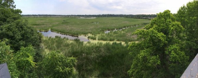Panorama over the rice fields from the top of the observation tower.