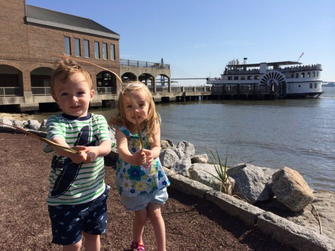 eagles-rays-and-albino-gators-at-the-south-carolina-aquarium-1