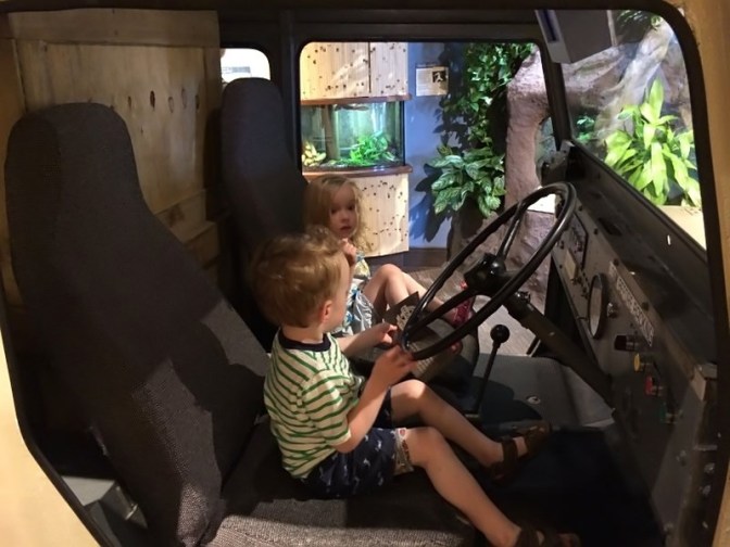 eagles-rays-and-albino-gators-at-the-south-carolina-aquarium-5