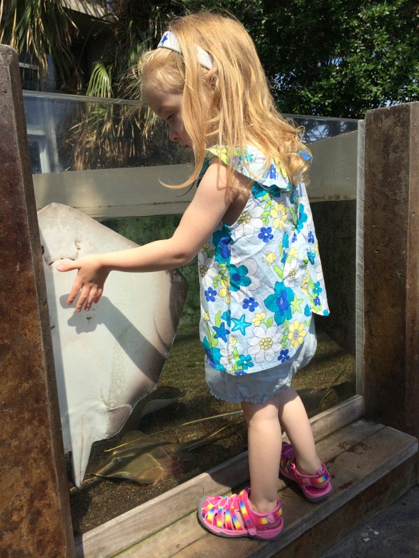 south-carolina-aquarium-1