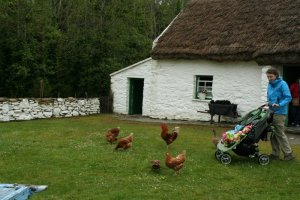 Ireland & N. Ireland 2012