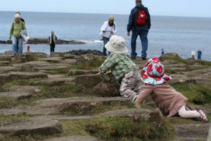 Ireland & N. Ireland 2012 Giants Causeway