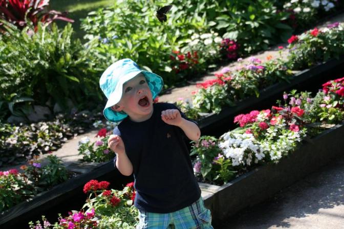 Butterfly Garden at Boone Hall