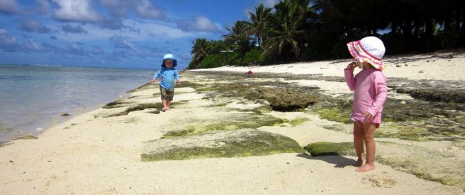 Fruits of Rarotonga, Cook Islands