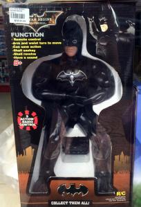 What the..? | Trekking with Twins