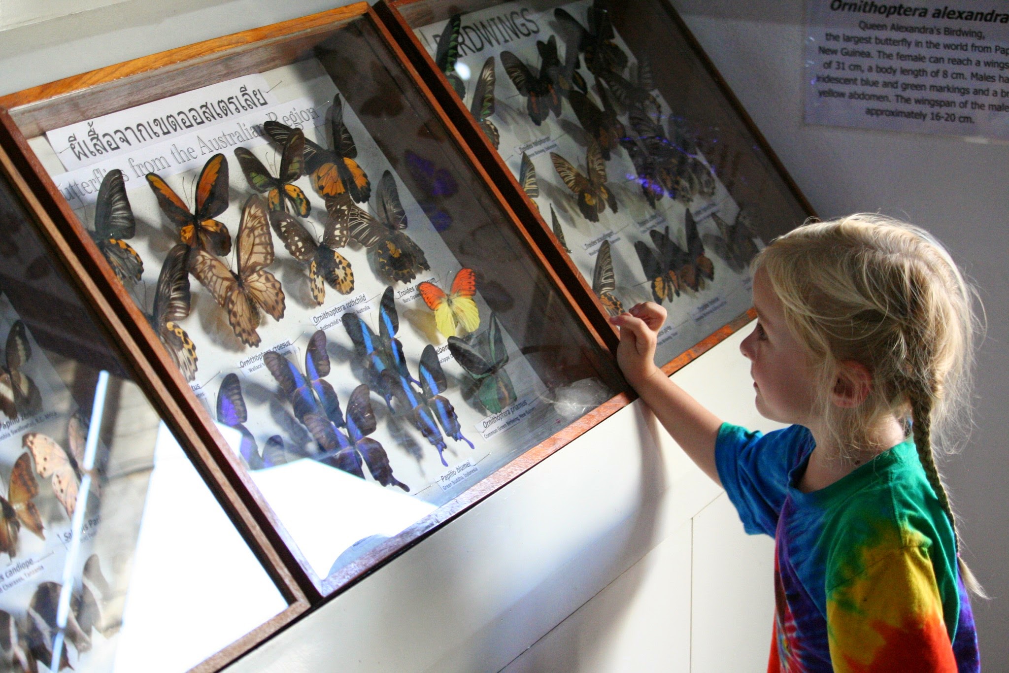 Siam Insect Zoo on our day trip from Chiang Mai