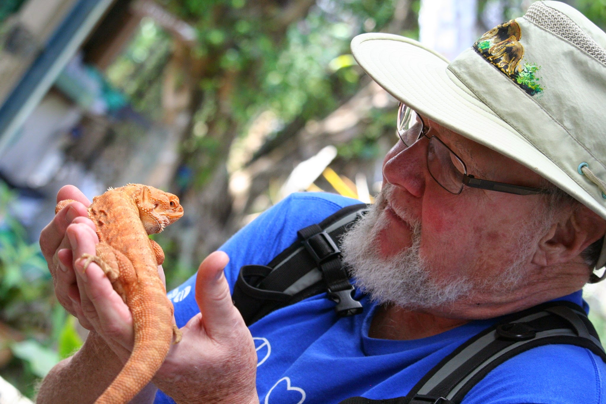 Siam Insect Zoo on our day trip from Chiang Mai