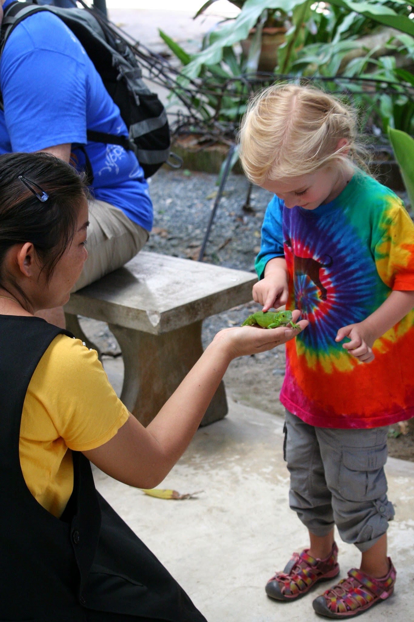 Siam Insect Zoo on our day trip from Chiang Mai