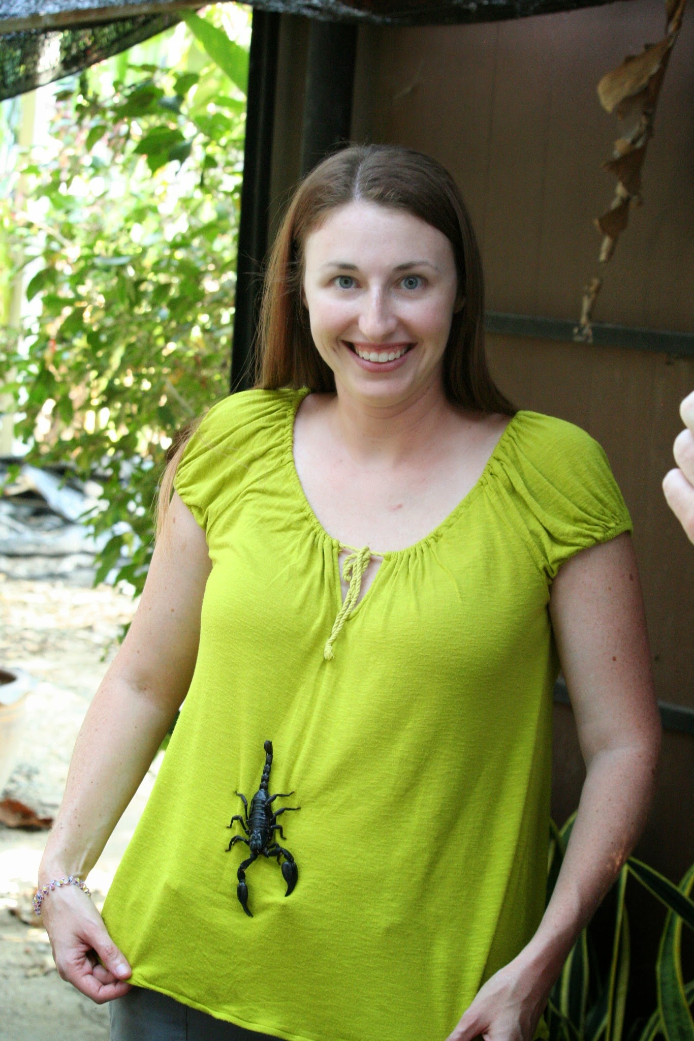 Siam Insect Zoo on our day trip from Chiang Mai